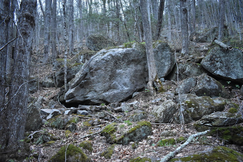 The Schistomatics Boulder