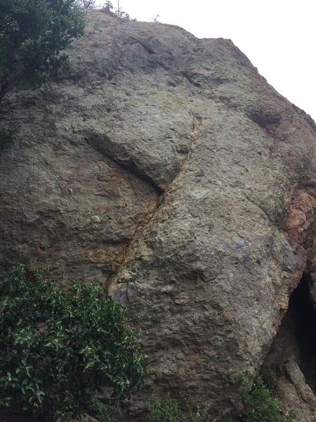 L-R: Octopussy 5.10a, Pussy Galore 5.10d, L.A. Confidential 5.10d