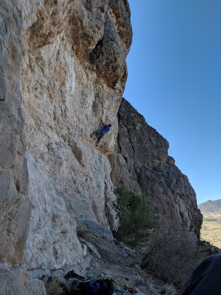 Bottom section