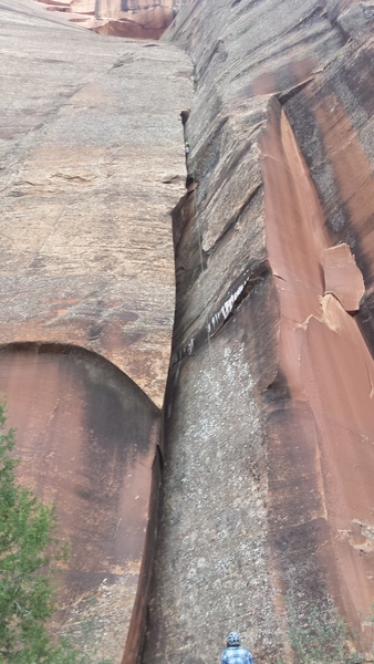 Jess peaking out of the last chimney