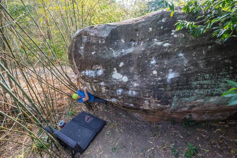 Gavriel onCrouching Tiger, V4