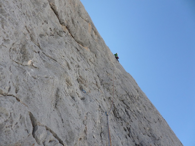 View of leader on pitch 5.