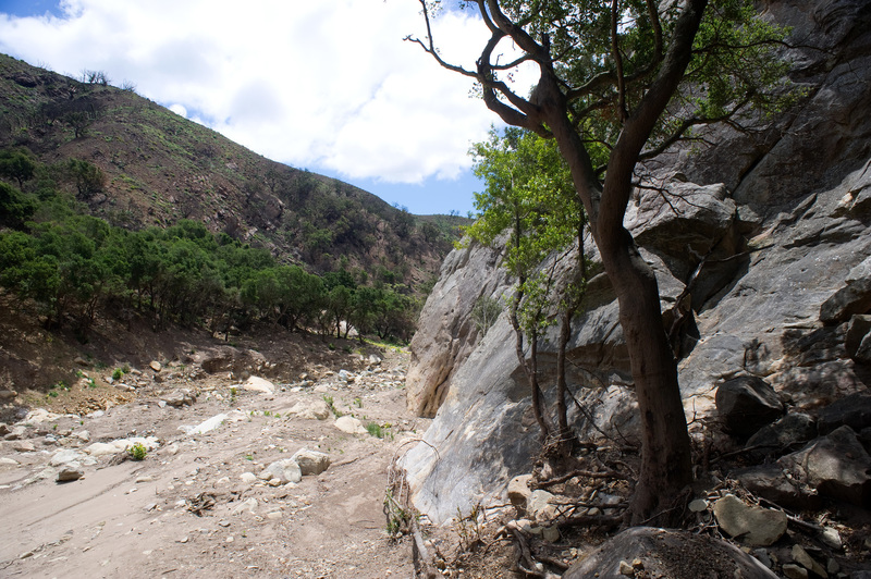 San Ysidro - May 25, 2018
<br>
The view looking toward the stream from near the base of Orangahang.
