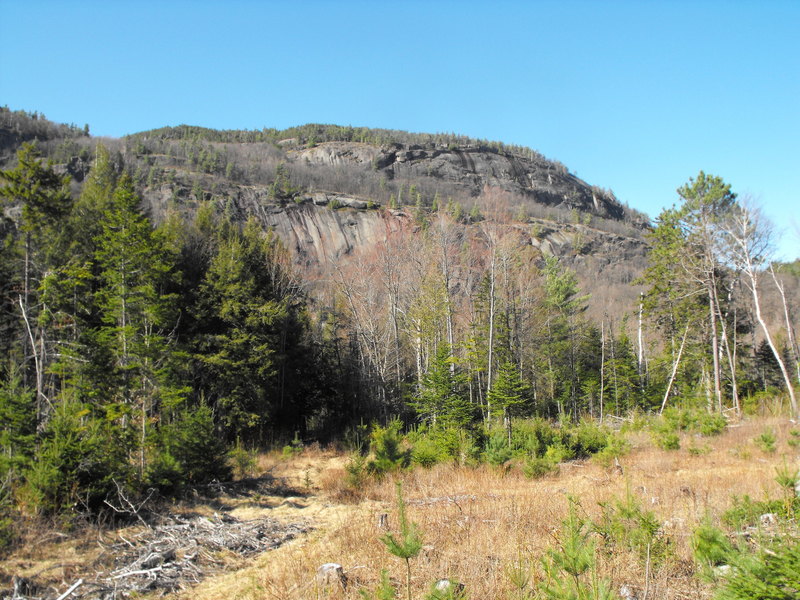The approach to the cliffs ... there are still many wide logging roads and fields at this point ....soon the trails narrow, steepen, fill with water pockets and may have nasty prickly bushes.