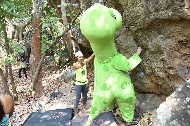 Who say Dino can't climb