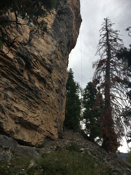 Steeper than it looks
