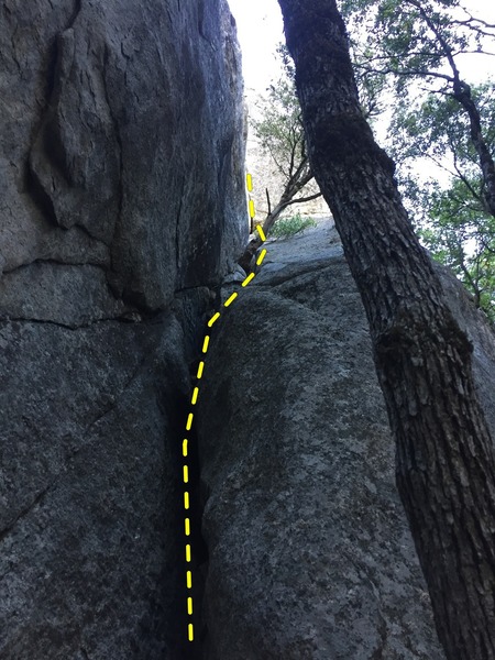 The chimney at the start of the route. Head up past the two trees growing in the groove to the steep wide hand crack for the crux (barely visible at the back of the photo).