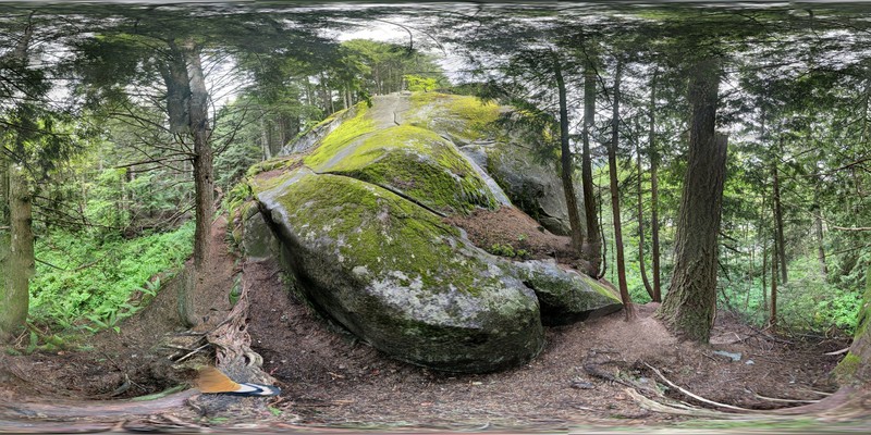 Sphere Photo, check google maps for a better rendered one.