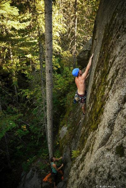 Handsize Fantasy - 5.9