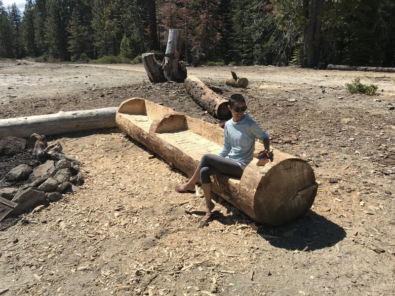 You often share the camping slab with 4x4'ers who stay busy with big fires, clearing the roads, and chopping up log furniture like this! Cupholder included!