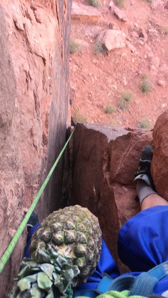 Jerry the Pineapple wasn't too happy about the wide section.