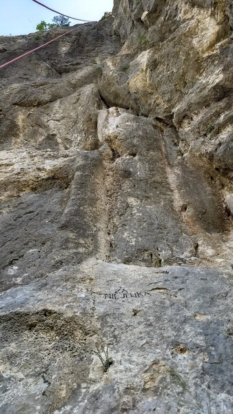 Za Miljenka from the bottom