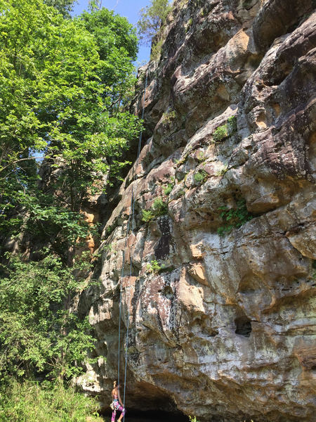 Molly Gabel preparing to climb Dead Dog on tr