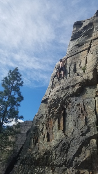 Cam placements through this section