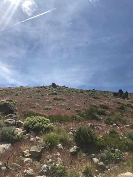 The best picture I could get of one of those granite boulders that's up on the ridge line out there. Yeah, I know it's not the best.