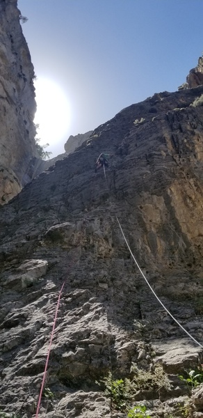 Linking p1 and p2. Photo: Cameron Casey