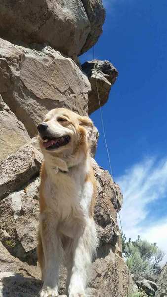 George posing in front of her route, Holcomb Valley Pinnacles
<br>
<br>
Photo by Reed Ames