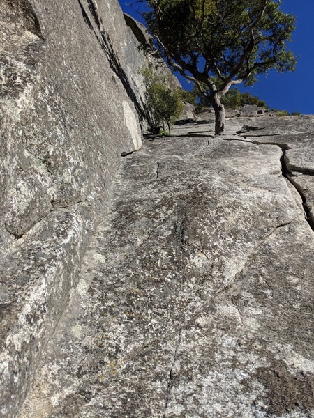 Looking up at the end of the 1st/beginning of the 2nd pitch