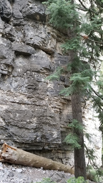 Bottom half of route