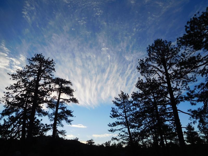 Early morning sky from the north parking area, Holcomb Valley Pinnacles