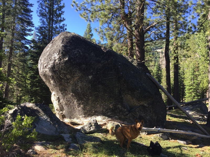Donner Lake #2 Boulder. Large dog pooping for scale.
