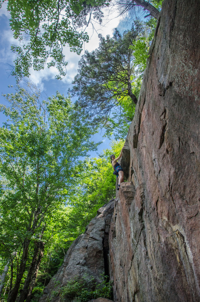 Climbs the wide crack on the left then traverse ledge and up the face to the right of the pine tree