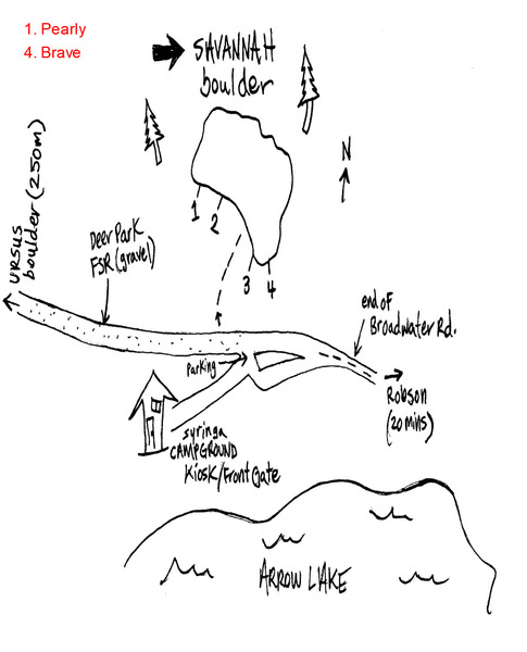 Savannah map