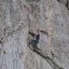 Mike Engle working the moves and marking the bolt placements for the 2nd pitch of Tiny Dancer.