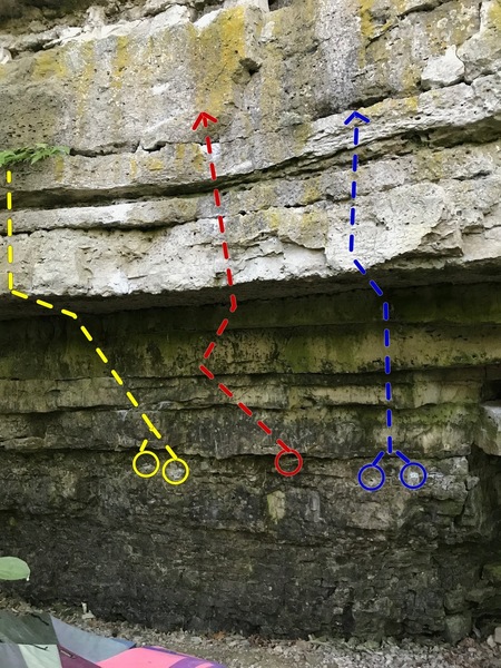 Big Man on Campus (yellow), Aragog (red), & Formidable Forecast (blue)