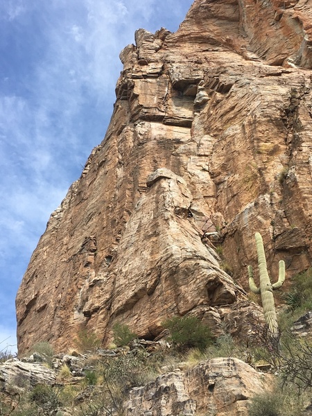 The tower