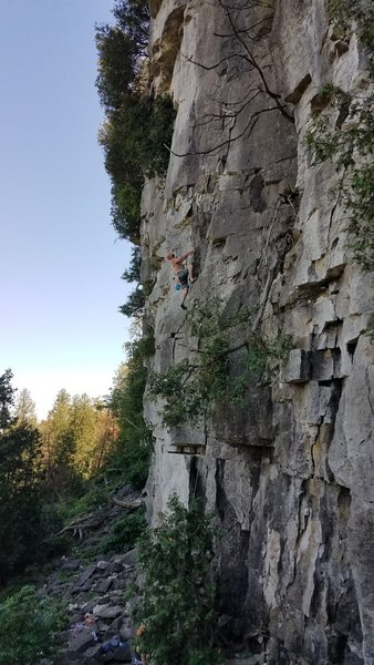 A climber about halfway up I Owe a Lot of Money to a Man Name Guido