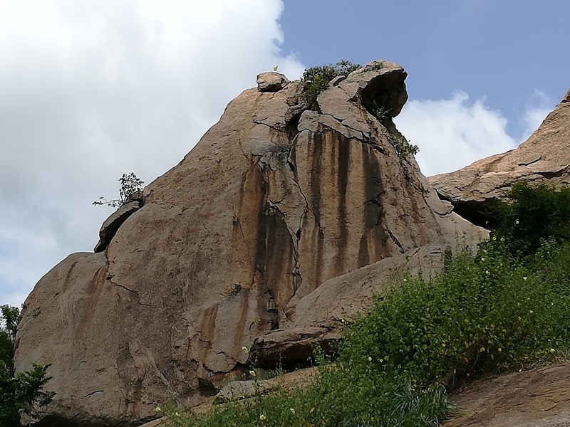 rock-climbing-in-spanish-rose-bangalore-area-and-southern-karnataka