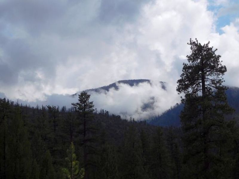 Looking towards Mt. San Gorgonio from Hwy 38, San Bernardino Mountains