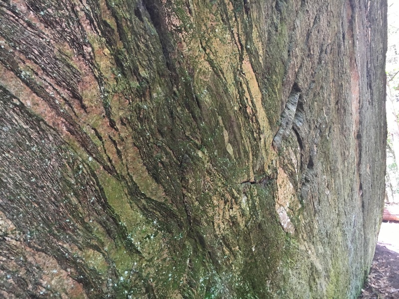 Rock texture. Not many holds but there appear to be enough cracks and little pockets to get to the top