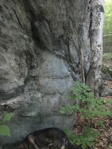 Right boulder, downhill side (with overhang). Walking stick is 6’4”. Nice features and holds.