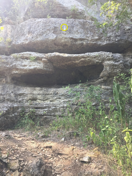 As the access trail meets the center of Dreamers Wall, you can see the first bolt of Goats and Cattle. The iconic wave feature is above and to the right. The ledge with 4 routes is to the left.