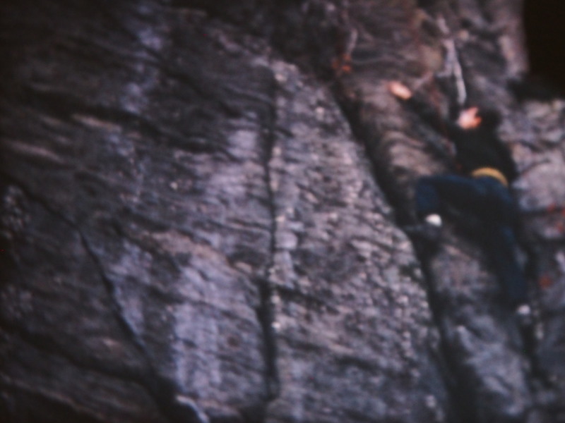 Climbing up what would be Tarzan on TR to clean vines (from a 8mm movie film).