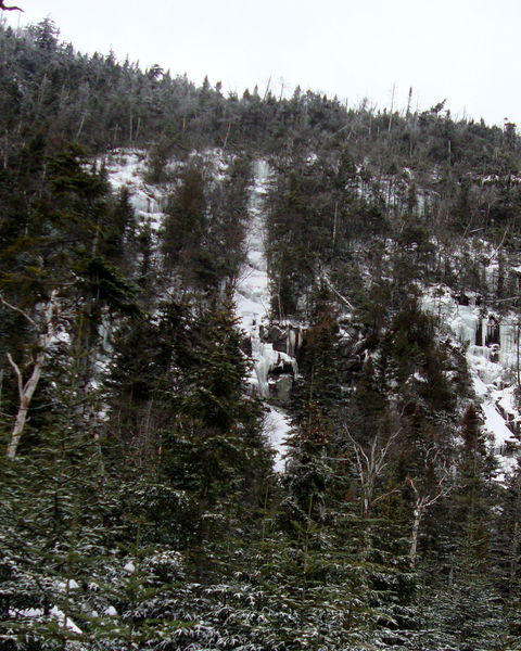 Little Marcy Gully (center of photo) as viewed from the trail. Photo by Ken Hebb.