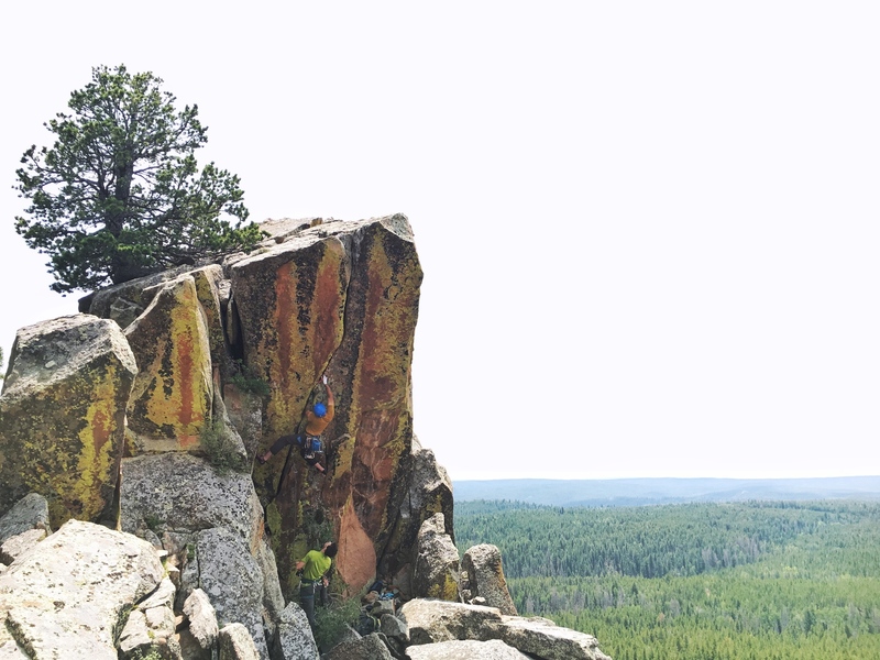 Starting up Lost Cord, 5.11.