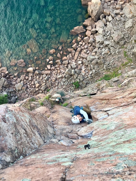 Urge to Mate from above. Photo: Emma Zimmer
