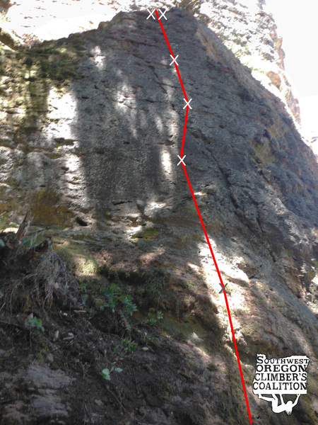 Topo of Shorty