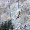 The 70-meter rope after lowering off the lead on Local's Only
