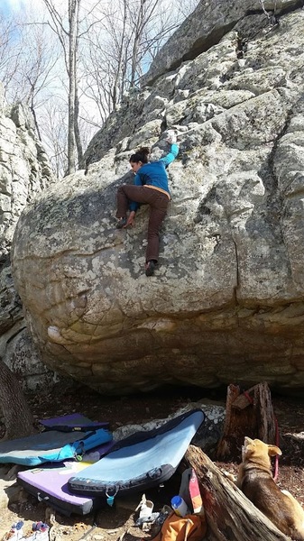 There was a tree blocking this boulder for some time, it is accessible and well worth it. The descent is the crux