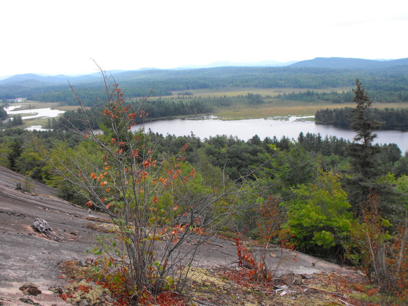 Typical rock ... much 4th class with vegetated islands and mossy patches.