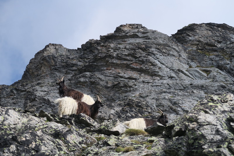 Some obstacles we encountered on our climb.