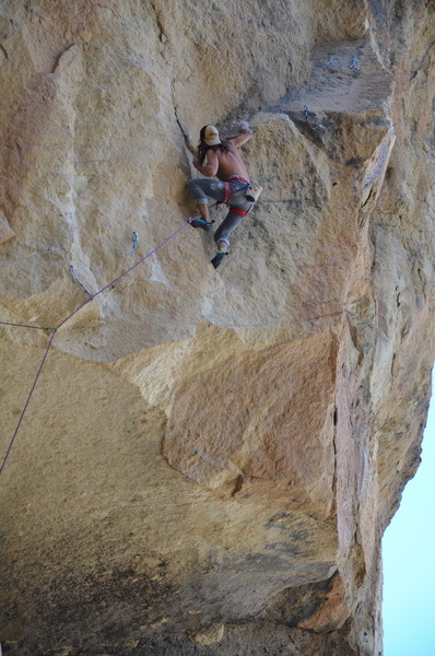 Above the Great Roof on Confrontation for the FA