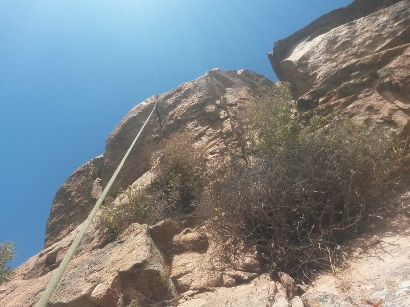 Looking up at the body length roof. Go left of the bushes, and the climbing is clean and good up to a big, juggy flake beneath the roof. The roof is splitter, and the bushes are well out of the way.