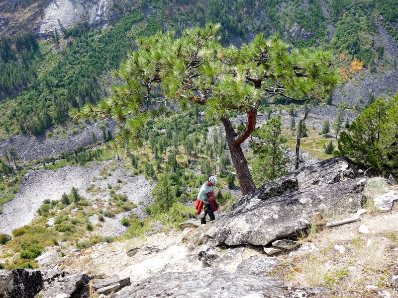 The bolted rap station is on the rock beside this distinct and lovely tree. One rap to ground with double ropes.