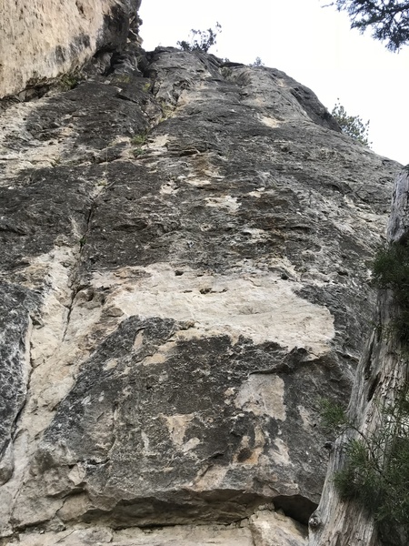 Route goes right up the middle following the bolts