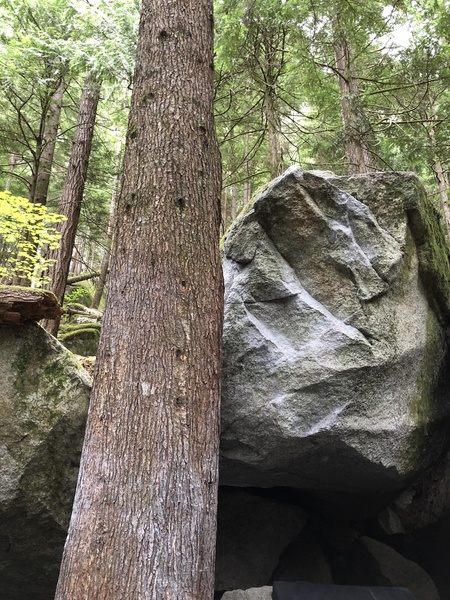 Problem starts on ledge behind tree. Watch out for the roots! If you land poorly you could roll your ankles :(